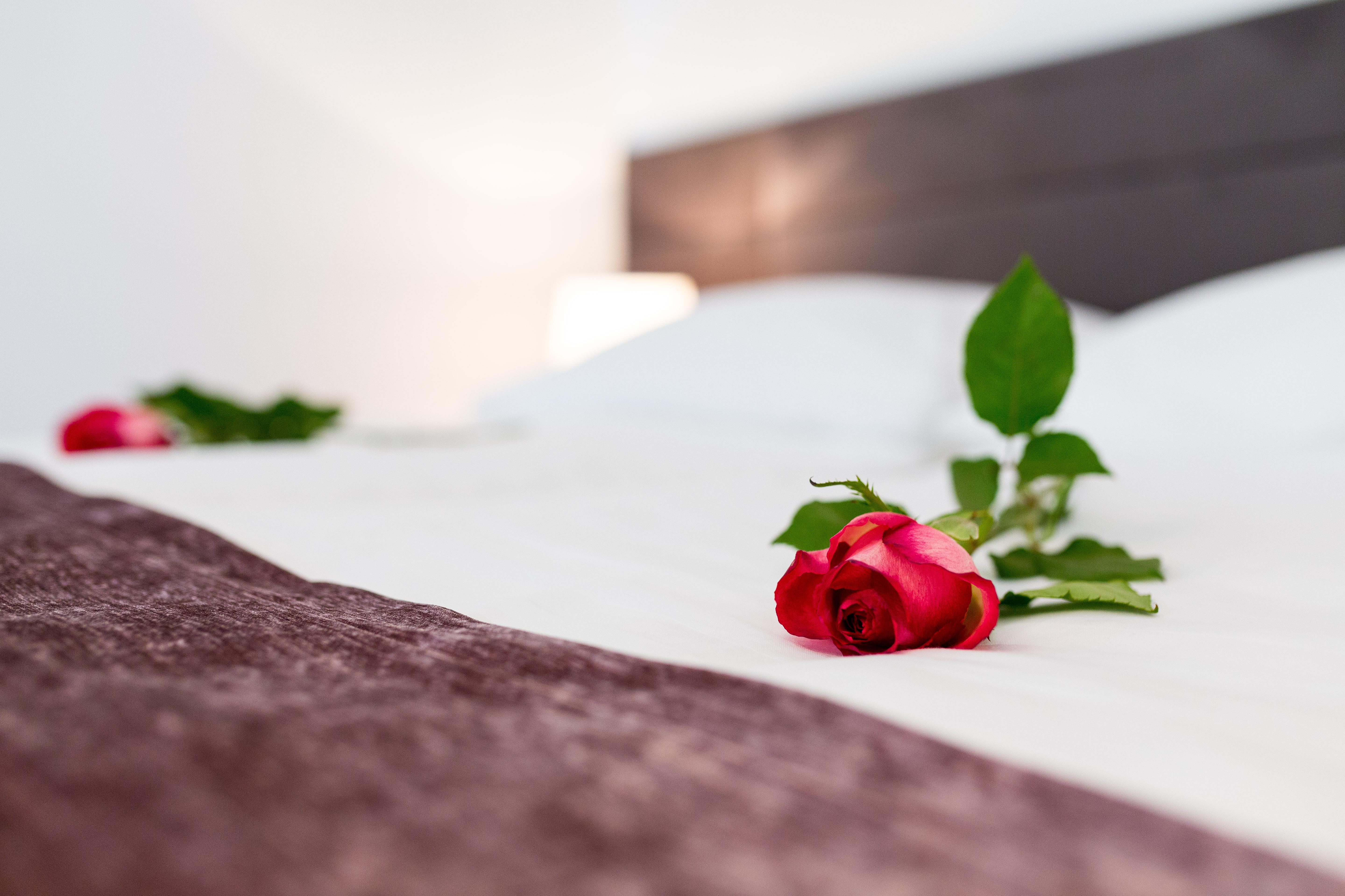 Starlight Luxury Rooms Спліт Екстер'єр фото